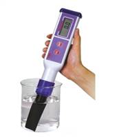 點(diǎn)擊查看大圖