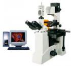 用途

550 系列熒光顯微鏡是由倒置顯微鏡和落射熒光裝置組成。配有長(zhǎng)工作距離平場(chǎng)消色差物鏡、大視野目鏡、雙目觀察。倒置熒光顯微鏡還配有特長(zhǎng)工作距離聚光鏡、同時(shí)配有相襯裝置及長(zhǎng)工作距離平場(chǎng)相襯物鏡，具有在培養(yǎng)瓶或培養(yǎng)皿內(nèi)進(jìn)行顯微觀察的特點(diǎn)。倒置熒光顯微鏡可以觀察不經(jīng)染色的透明活體；落射熒光裝置適用于熒光顯微術(shù)。倒置熒光顯微鏡特別適用于對(duì)活體細(xì)胞和組織、流質(zhì)、沉淀物等進(jìn)行顯微研究，是生物學(xué)、細(xì)胞學(xué)、腫瘤學(xué)、遺傳學(xué)、免疫學(xué)等研究工作的理想儀器?？晒┛蒲小⒏咝?、醫(yī)療、防疫質(zhì)檢和農(nóng)牧等部門使用。
