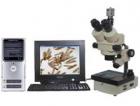 實(shí)體圖像顯微鏡或數(shù)碼攝影實(shí)體顯微鏡，配置了高清晰度的圖像傳感攝像機(jī) (或數(shù)碼相機(jī))，可以將顯微成像由計(jì)算機(jī)進(jìn)行處理、編輯、保存和輸出 (如打印等)或進(jìn)入多媒體系統(tǒng)及電子信箱。
